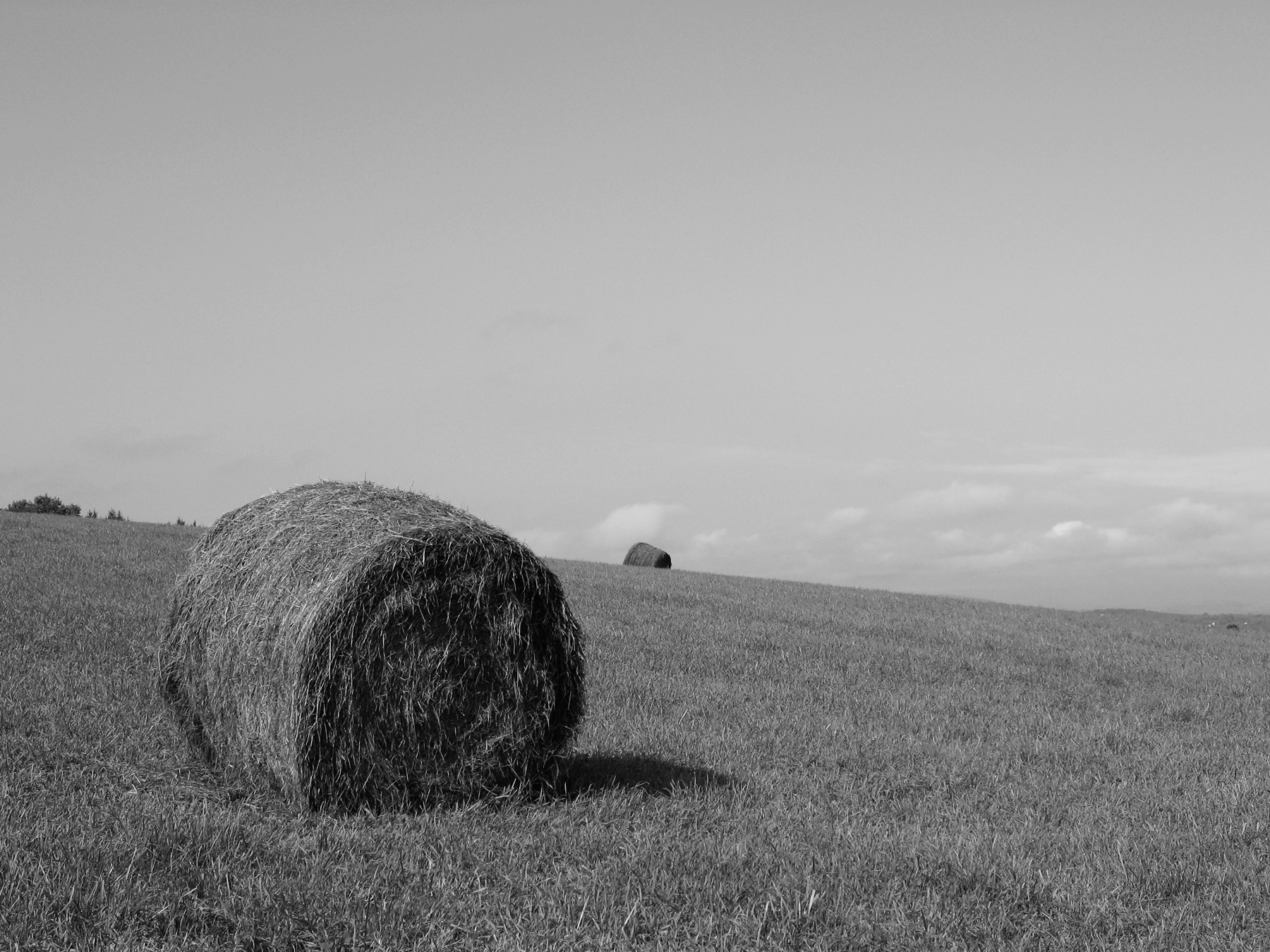 Hay Bale Greyscale